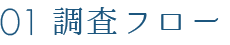 01:調査フロー