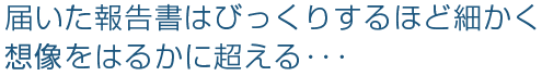 届いた報告書はびっくりするほど細かく想像をはるかに超える・・・